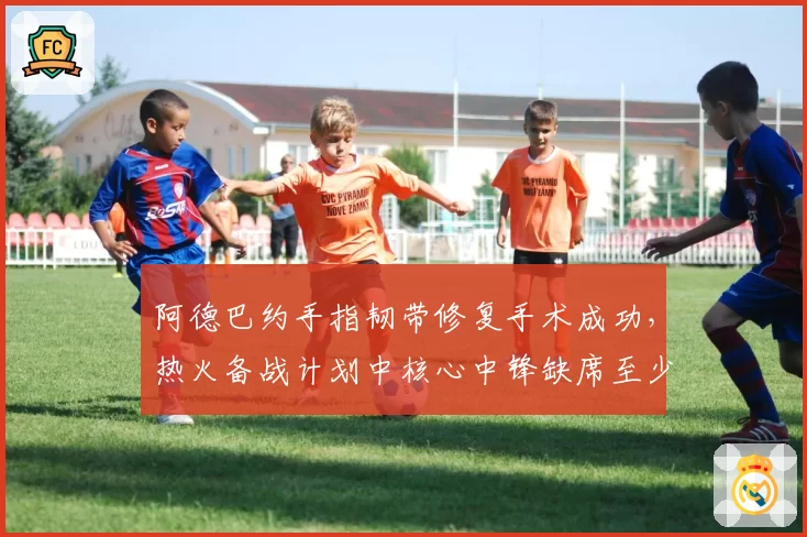 阿德巴约手指韧带修复手术成功,热火备战计划中核心中锋缺席至少六周