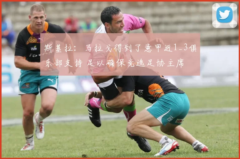 斯基拉：马拉戈得到了意甲近1_3俱乐部支持 足以确保竞选足协主席